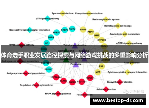 体育选手职业发展路径探索与网络游戏挑战的多重影响分析