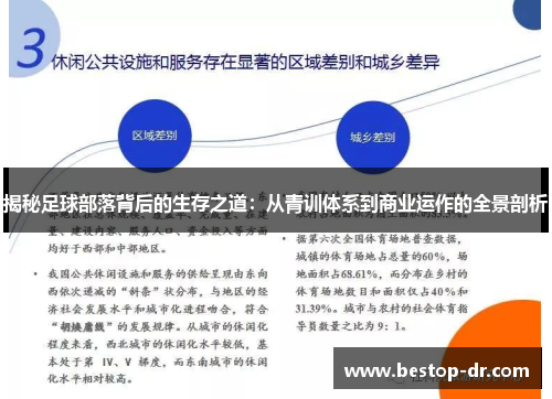 揭秘足球部落背后的生存之道：从青训体系到商业运作的全景剖析